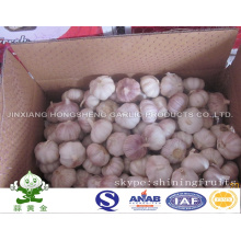 New Crop 2016 Noamal White Garlic 10kgs Loose Carton Packing